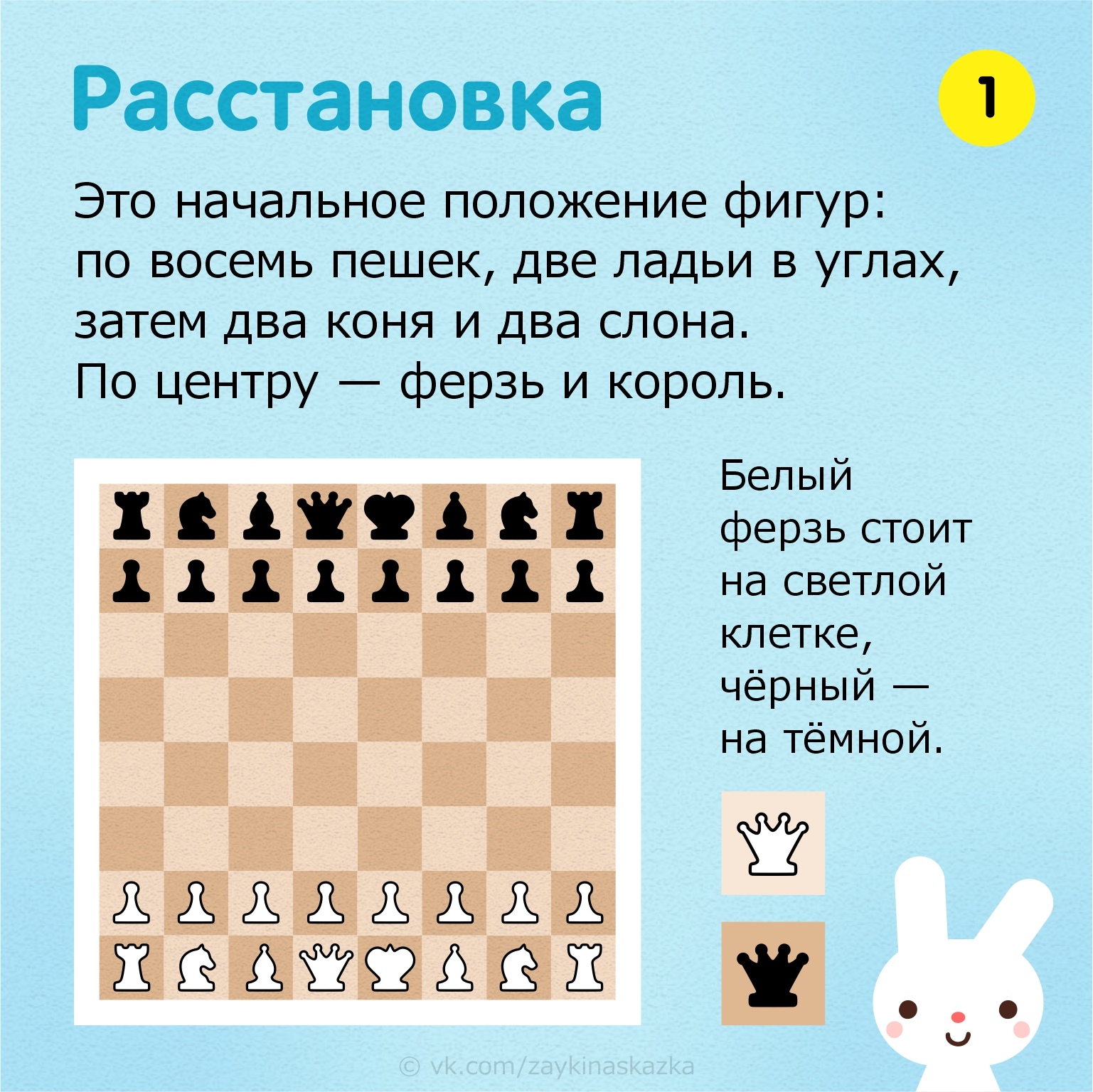 Шахматы правила игры для новичков